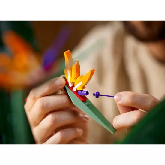 LEGO: Bird of Paradise