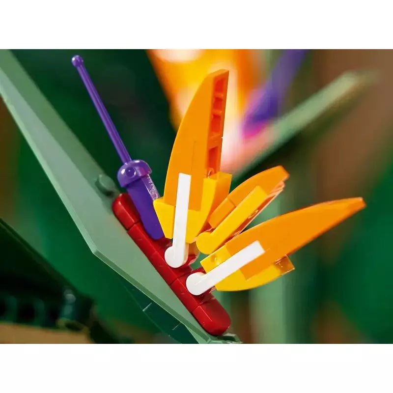 LEGO: Bird of Paradise