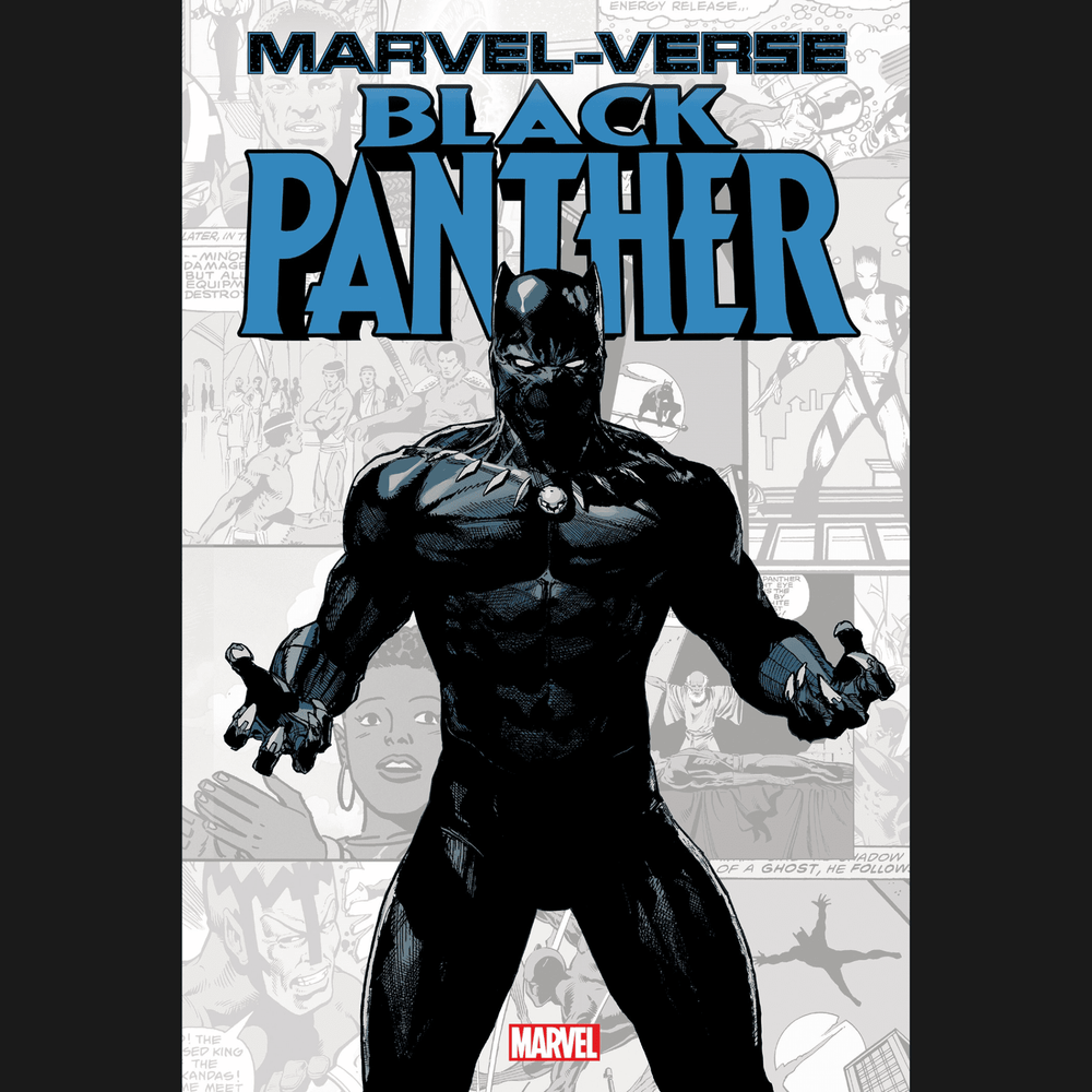 Marvel-Verse Black Panther