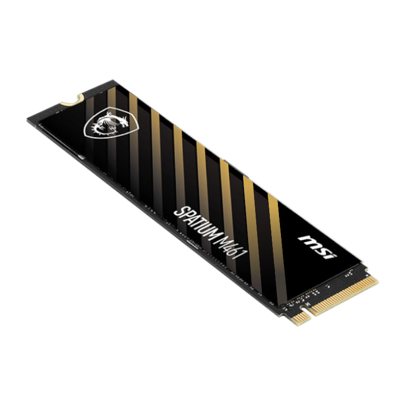 SPATIUM M461 PCIe 4.0 NVMe M.2 1TB