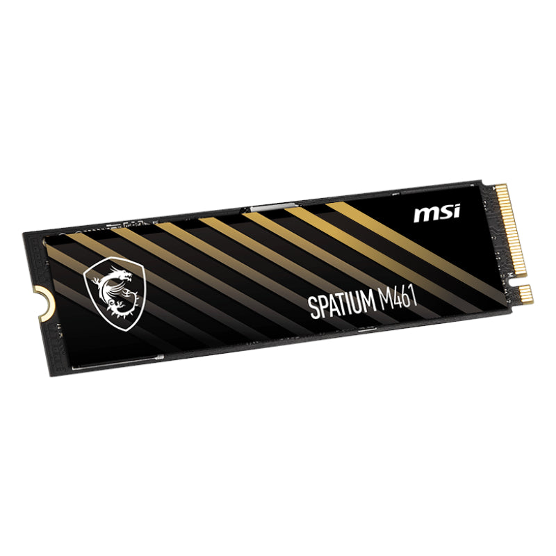 SPATIUM M461 PCIe 4.0 NVMe M.2 500GB